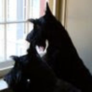 Meet your Posher, Beverley